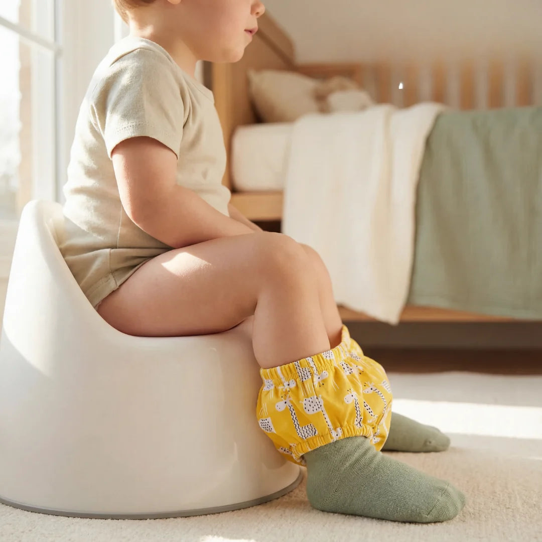 Culotte d'apprentissage